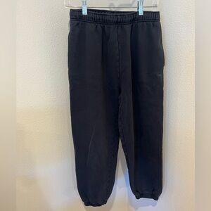 Aritzia TNA Cozy Sweatfleece Mega Jogger